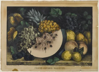 Früchte Herbstsorten, 1871